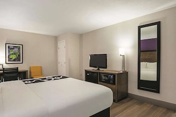 Room, 1 King Bed, Non Smoking