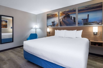 Room, 1 King Bed, Non Smoking