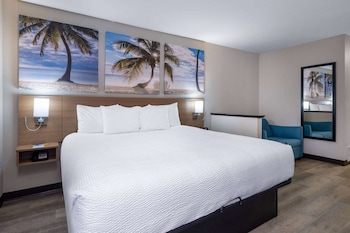 Room, 1 King Bed, Non Smoking (Pet Friendly)
