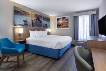 Room, 1 King Bed, Non Smoking