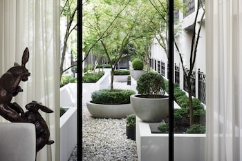 Maple Suite