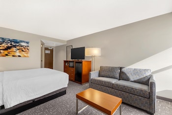Standard Room, 1 King Bed, Non Smoking, Refrigerator & Microwave (with Sofabed)