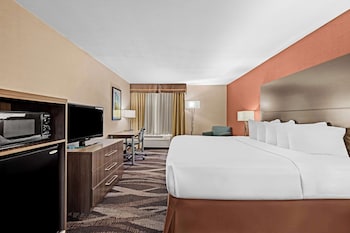 Standard Room, 1 King Bed, Non Smoking, Refrigerator & Microwave