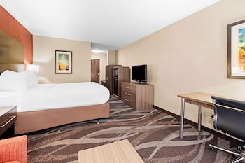 Standard Room, 1 Queen Bed, Accessible, Non Smoking (with Sofabed)
