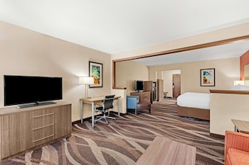 Suite, 1 King Bed, Non Smoking, Refrigerator & Microwave (with Sofabed)