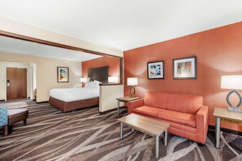 Suite, 1 King Bed, Non Smoking, Refrigerator & Microwave (with Sofabed)