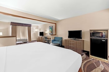 Suite, 1 King Bed, Non Smoking, Refrigerator & Microwave (with Sofabed)