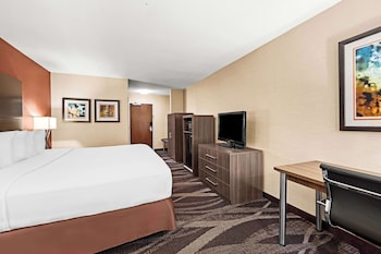 Standard Room, 1 King Bed, Non Smoking, Refrigerator & Microwave