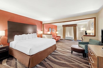 Suite, 1 King Bed, Non Smoking, Refrigerator & Microwave (with Sofabed)
