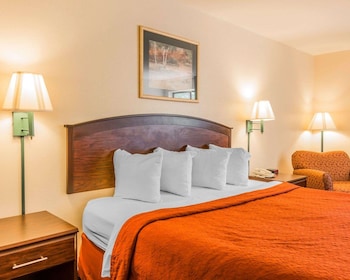 Standard Room, 1 King Bed, Non Smoking