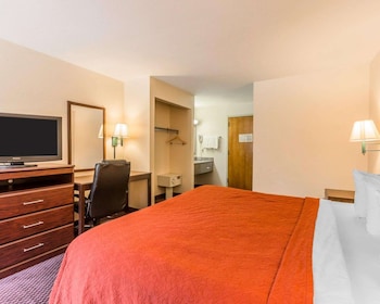 Standard Room, 1 King Bed, Non Smoking