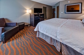 Room, 1 King Bed