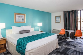 Room, 1 King Bed, Non Smoking