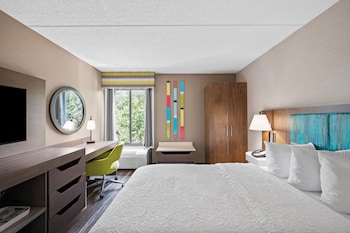 Room, 1 King Bed, Refrigerator