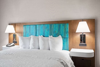 Room, 1 King Bed, Refrigerator