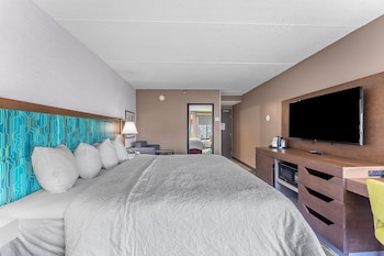 Room, 1 King Bed with Sofa bed, Refrigerator