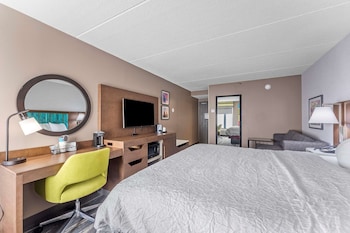 Room, 1 King Bed with Sofa bed, Refrigerator