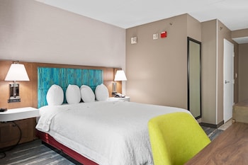 Room, 1 King Bed, Refrigerator