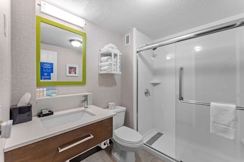 Room, 1 King Bed with Sofa bed, Refrigerator