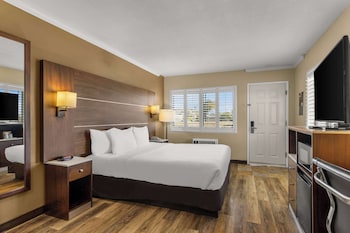 Standard Room, 1 King Bed, Accessible, Non Smoking (Roll-in Shower)
