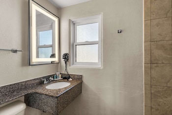 Standard Room, 1 King Bed, Accessible, Non Smoking (Roll-in Shower)