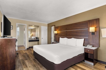 Standard Room, 1 King Bed, Accessible, Non Smoking (Roll-in Shower)