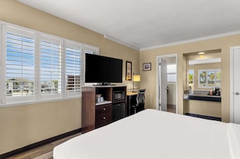 Standard Room, 1 King Bed, Accessible, Non Smoking (Roll-in Shower)