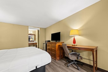 Room, 1 King Bed, Smoking