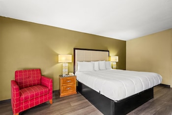 Room, 1 King Bed, Smoking