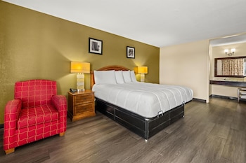 Room, 1 King Bed, Smoking
