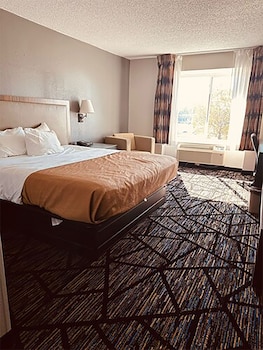 Standard Room, 1 King Bed, Non Smoking
