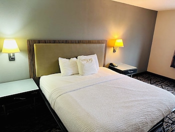 Deluxe Single Room, 1 King Bed