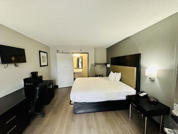 Standard Room, 1 King Bed, Non Smoking