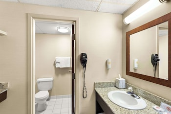 Suite, Non Smoking