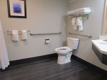 Standard Room, 1 King Bed, Accessible, Bathtub