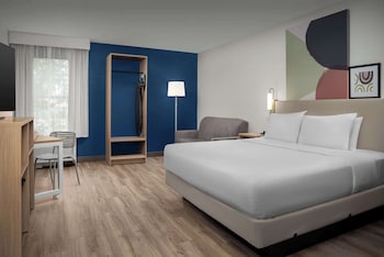 Room, 1 King Bed with Sofa bed