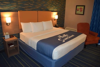 Room, 1 King Bed, Accessible, Non Smoking