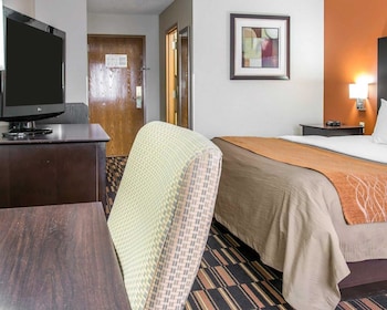 Standard Room, 1 King Bed, Non Smoking