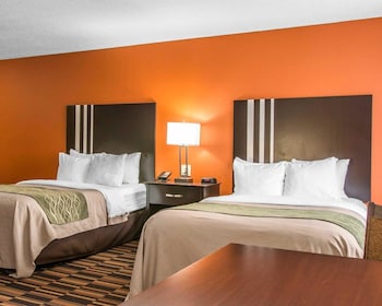 Standard Double Room, 2 Double Beds, Non Smoking