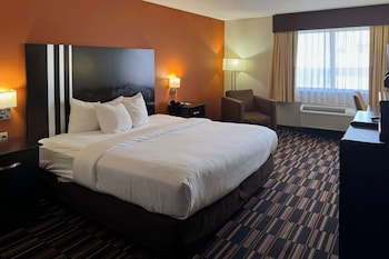 Standard Room, 1 King Bed, Non Smoking