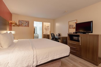 Room, 1 King Bed, Non Smoking