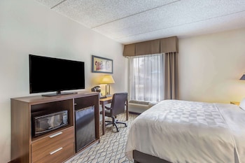 Room, 1 King Bed, Accessible, Non Smoking