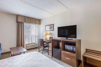 Room, 1 Queen Bed with Sofa bed, Accessible, Non Smoking
