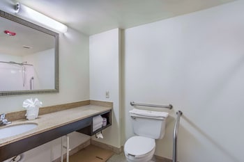 Room, 1 Queen Bed with Sofa bed, Accessible, Non Smoking