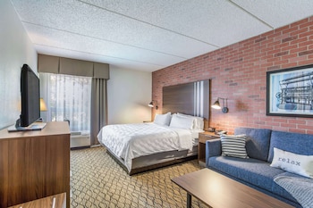 Standard Room, 1 King Bed with Sofa bed, Non Smoking
