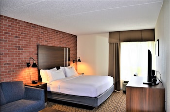 Standard Room, 1 King Bed with Sofa bed, Non Smoking