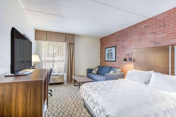 Room, 1 Queen Bed with Sofa bed, Accessible, Non Smoking