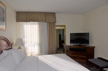 Room, 1 Queen Bed with Sofa bed, Accessible, Non Smoking