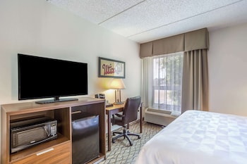 Standard Room, 1 King Bed with Sofa bed, Non Smoking