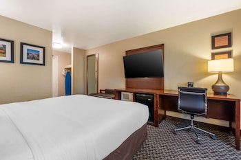 Room, 1 King Bed, Accessible, Non Smoking